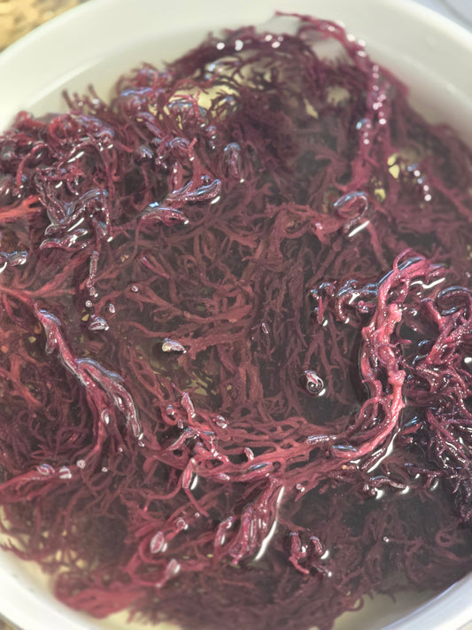 Sea Moss Gel